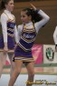 Thumbs/tn_896_9646.jpg