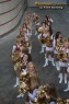 Thumbs/tn_IMG_7111.jpg