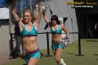 Thumbs/tn_233_3333.jpg