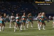Thumbs/tn_233_3352.jpg