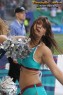 Thumbs/tn_240_4005.jpg