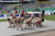 Thumbs/tn_241_4135.jpg