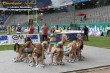 Thumbs/tn_241_4138.jpg
