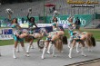 Thumbs/tn_241_4153.jpg