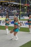 Thumbs/tn_241_4192.jpg