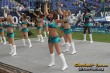 Thumbs/tn_242_4203.jpg