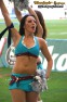 Thumbs/tn_071.jpg