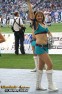 Thumbs/tn_195.jpg