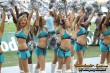 Thumbs/tn_203.jpg