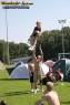 Thumbs/tn_156_5663.jpg