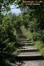 Thumbs/tn_157_5762.jpg