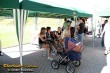 Thumbs/tn_160_6067.jpg