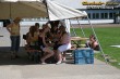 Thumbs/tn_162_6238.jpg