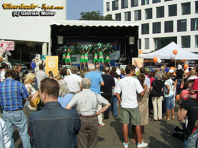 ../Images/RIMG0038.jpg