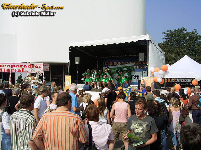 ../Images/RIMG0040.jpg