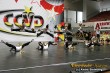 Thumbs/tn_IMG_1827.jpg