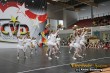 Thumbs/tn_IMG_1952.jpg