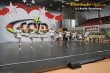 Thumbs/tn_IMG_1962.jpg