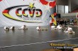 Thumbs/tn_IMG_1982.jpg