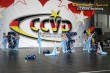 Thumbs/tn_IMG_2054.jpg