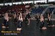 Thumbs/tn_IMG_2394.jpg