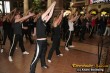 Thumbs/tn_450_5078.jpg