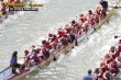 Thumbs/tn_IMG_3774.jpg