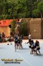 Thumbs/tn_IMG_5585.jpg