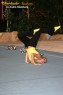 Thumbs/tn_IMG_5859.jpg