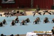 Thumbs/tn_IMG_5953.jpg