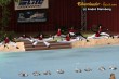 Thumbs/tn_IMG_5985.jpg