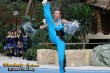 Thumbs/tn_IMG_6057.jpg