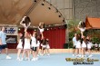 Thumbs/tn_IMG_8796.jpg