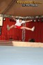 Thumbs/tn_IMG_8882.jpg