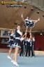 Thumbs/tn_IMG_8949.jpg