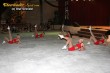 Thumbs/tn_JMG_0053.jpg