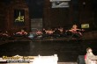 Thumbs/tn_567_6783.jpg