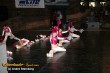 Thumbs/tn_570_7072.jpg