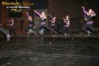 Thumbs/tn_590_9091.jpg