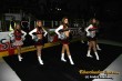 Thumbs/tn_IMG_6080.jpg