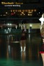 Thumbs/tn_IMG_6142.jpg