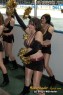 Thumbs/tn_DSC_0202.jpg