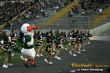 Thumbs/tn_IMG_8422.jpg
