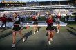 Thumbs/tn_IMG_8427.jpg