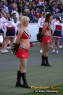 Thumbs/tn_IMG_8749.jpg