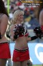 Thumbs/tn_IMG_8768.jpg
