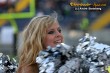 Thumbs/tn_IMG_8796.jpg