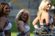 Thumbs/tn_IMG_8807.jpg