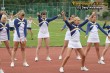 Thumbs/tn_IMG_1963.jpg