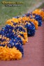 Thumbs/tn_IMG_2098.jpg
